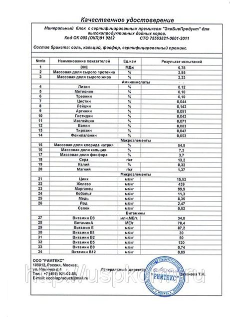 Сними все маски своими руками Сними все маски своими руками