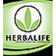 Независимый дистрибъютор HERBALIFE Татьяна