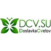 Интернет-магазин «Доставка цветов dcvsu»