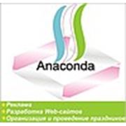 Anaconda Ltd Co.