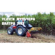 Логотип компании Ресторан Соловьиная роща (Тюмень)