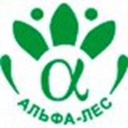 Агатлес, ООО