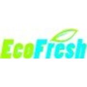 EcoFreshSpb