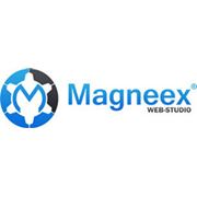 Веб-студия Magneex