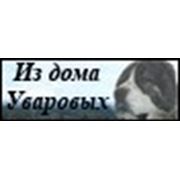 «Из Дома Уваровых» племенной питомник среднеазиатской и восточноевропейской овчарки