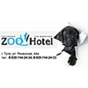 ZOOHOTEL (Гостиница для животных в Туле)