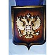 ООО «Мастер В»