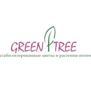 ГРИН ТРИ, ООО