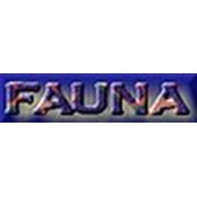 Фауна