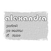 Логотип компании II “Donet Alexandra“ (Кишинёв)