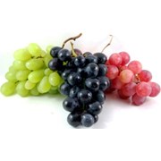 Логотип компании DENOV AGRO INVEST (Денау)