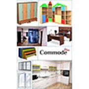 Commode Plus