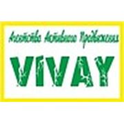 АГЕНТСТВО АКТИВНОГО ПРОДВИЖЕНИЯ VIVAY