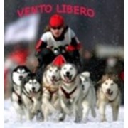 Венто либеро, ООО