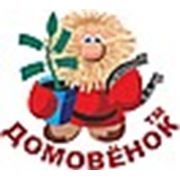 "Домовенок"