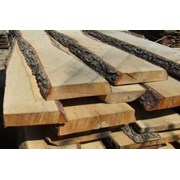 Логотип компании Спецстрой (Тамбов)