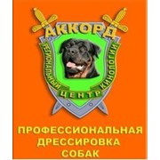 Аккорд