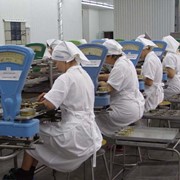Фасовка продуктов питания в порционную упаковку: консервы рыбные фото
