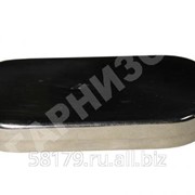 Игольник медицинский фото