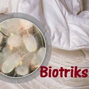 Уничтожение клещей в Люберцах. Средство от постельных и пылевых клещей фото