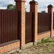 Ворота и заборы из профнастила фото
