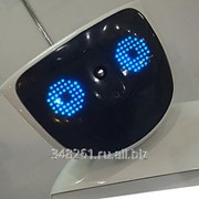Аренда робота промоутера фото