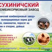 Комбикорм, в том числе по рецептуре заказчика, для предприятий птицеводства, свиноводства, рыбоводства, КРС и МРС фото