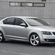 Аренда авто посуточно Skoda фото