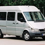 Автобусы и микроавтобусы из США фото
