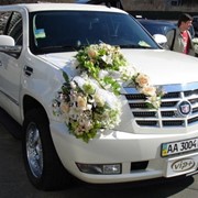 Прокат, аренда свадебных лимузинов фото