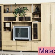 Мебель для гостиной Маэстро фото