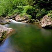 Укрепление берега фото