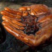 Нефтепродукты фото