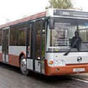 Автобусы LiAZ-6212 фото