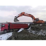 Продажа скальника с доставкой. фото