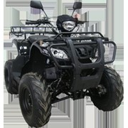 Квадроцикл Armada Atv 150R фото