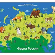 Рамка-вкладка Фауна России фото
