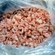 Креветки фото