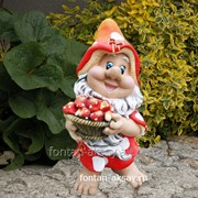 Гном лесовик с грибами фото