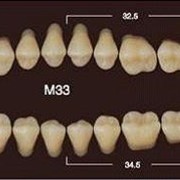 Частичный гарнитур 8шт. Жевательные нижние A3.5 M33 фото