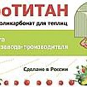 Поликарбонат сотовый 3.5 мм прозрачный | листы 6 м | АгроТИТАН фото