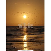 Отдых на море фото