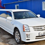 Лимузины на прокат фото