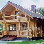Строительство загородных домов из Карпатской Ели фото