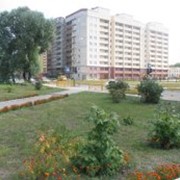Благоустройство территорий фото