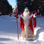 Дед мороз на дом фото