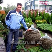 Создание садовых фонтанов фото