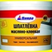 Шпаклевка масляно-клеевая универсальная Диола Д-001 фото