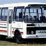 Автобусы PAZ-32054-07 фото
