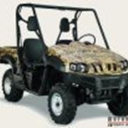 Квадроциклы Утилитарный Stels UTV 500 Н фото